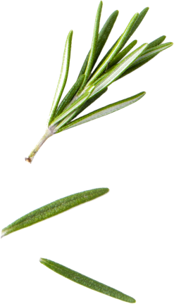 Garlic with seeds background image